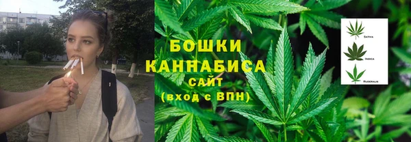 стаф Балахна