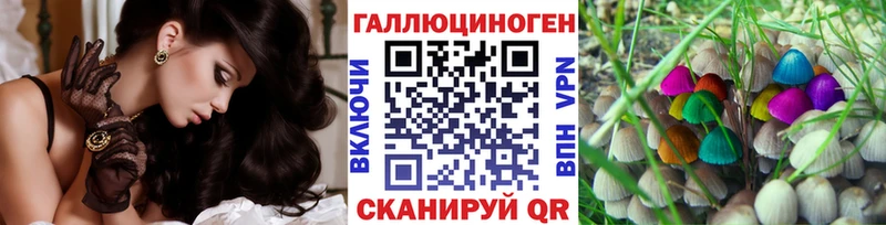 Псилоцибиновые грибы Psilocybe  blacksprut зеркало  Шумиха 